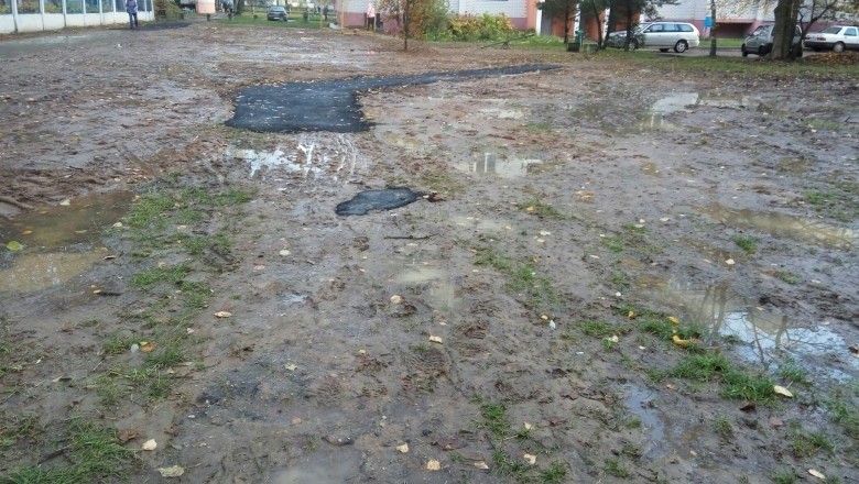 Премию Дарвина в этом году точно возьмут белорусы. Свою заявку подали даже барановичские коммунальники (ФОТО)