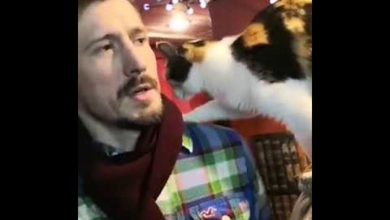 Виталий Гурков и Мелитина Станюта в Музее кота
