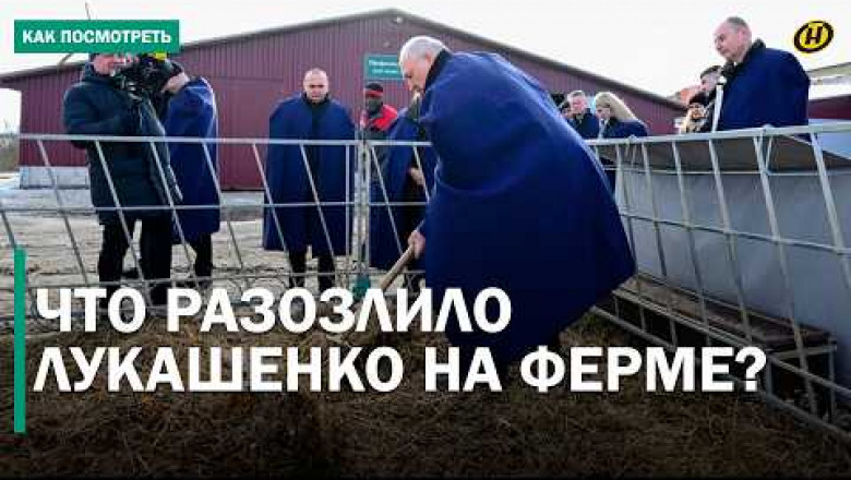 Президент ВНЕЗАПНО приехал на ферму. Что он там увидел?